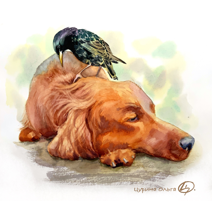 Чир Чирыч и Джек