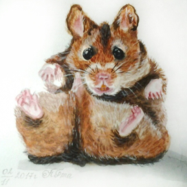 Хомячок-малышок.