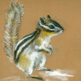 Бурундуки- это наше всё! 