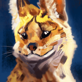 Cat digital paint (portrait) \ Цифровой портрет кота