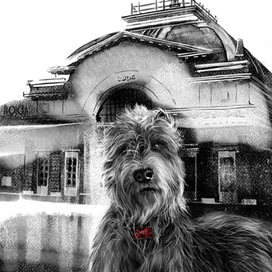 Дай закурить)