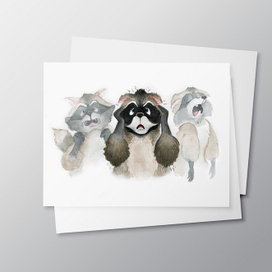 Енот персонаж эмоции