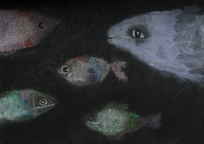 Ночные рыбы