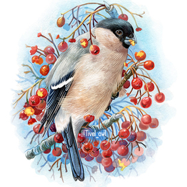 Снегурка на рябине