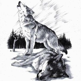 Молниеносный. 1-2