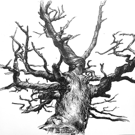 Дерево в Крыму