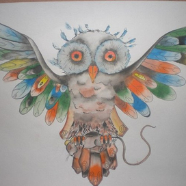 color owl