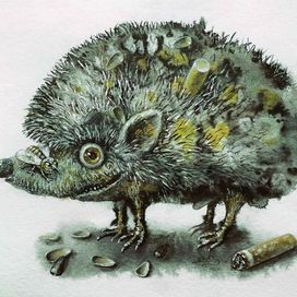 Помойный ёжик