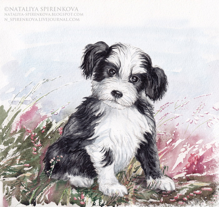 Рисунок для шоколадки (2)