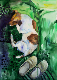 Собака спит. 