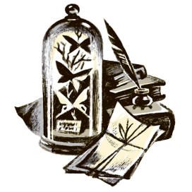 Бабочки в стеклянном колпаке