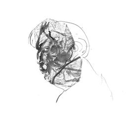 портрет Сабатина