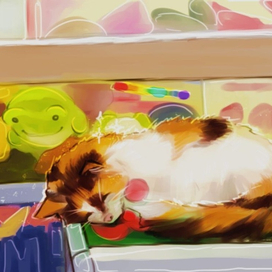 котик в магазине