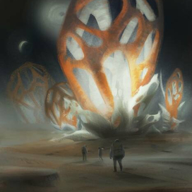 Космические грибы 