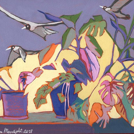 Зимний сад.