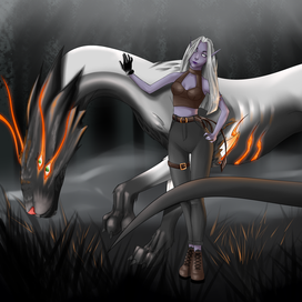 Химера-кошка и темный элф