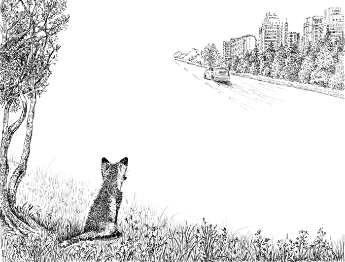 Иллюстрация к "Бегущие по кромке леса"