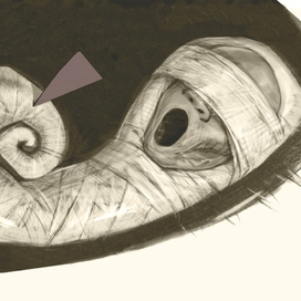 Design XX начало