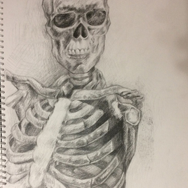 skeleton