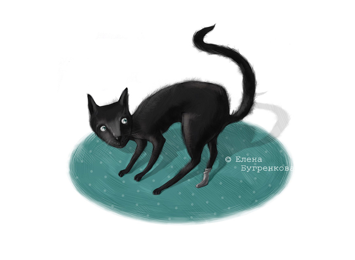 Любительница перебегать дорогу)