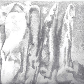 Красноярские "Столбы"