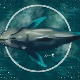 Горбатый кит