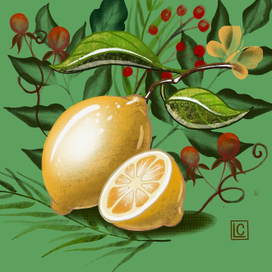 Limon 