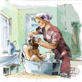 Иллюстрация.