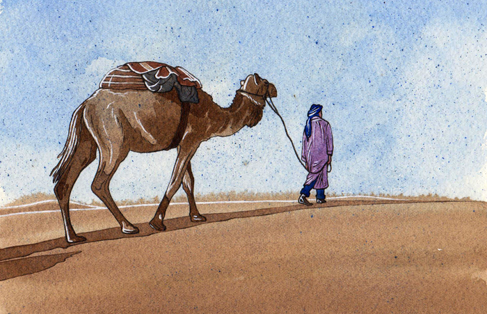 В пустыне (5)