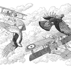 Прервал товарища полёт на "Альбатросе" пулемёт.