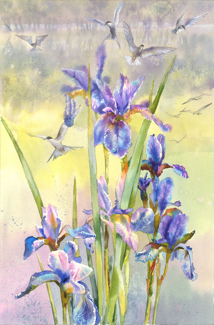 Ирисомания какая-то)