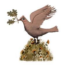 Розовый скворец