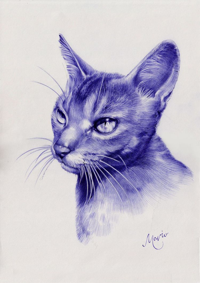 Абиссинская тайна