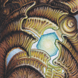 Биоорганика №1