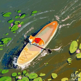 Корги на сапе