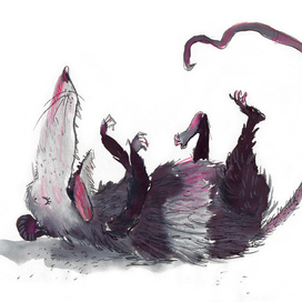 Хитрый опоссум 