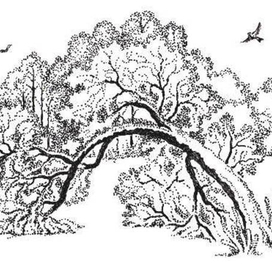 А. ФЕТ. стихотворения.