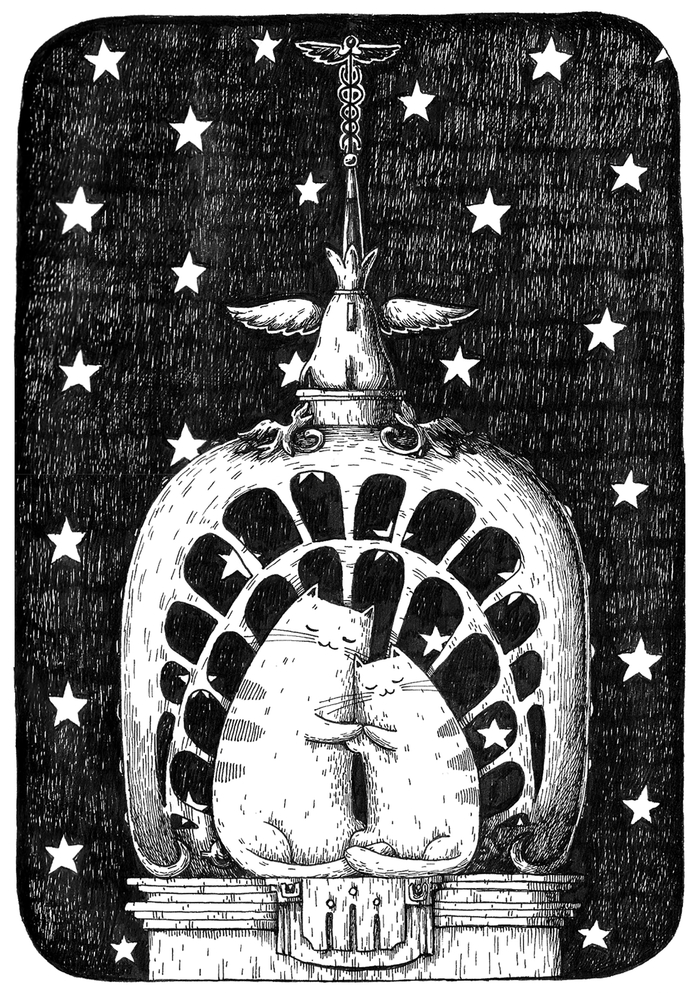 Котеньки в Питере