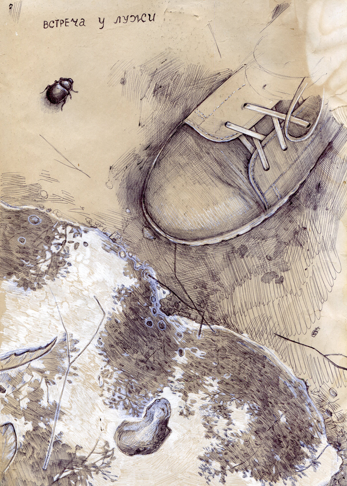 на берегу лужи