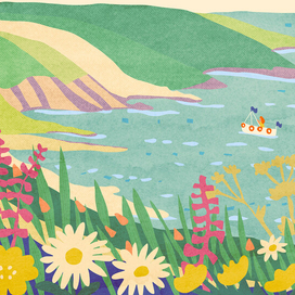 иллюстрация для упаковки, пейзаж, коллаж