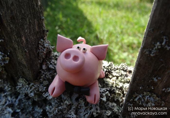 Любопытный поросенок