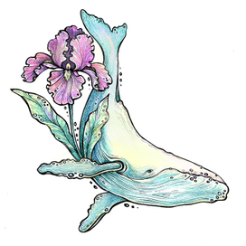 Цветочный кит. 
