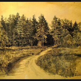 Дорога к лесу