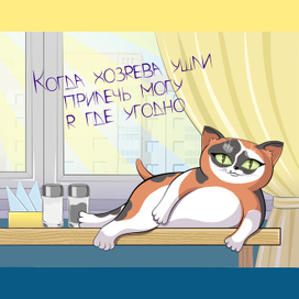 №2 Кошечка Китя