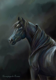 Арабская ночь