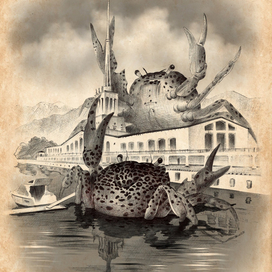 Черноморские крабы