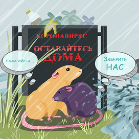 Сидите дома...