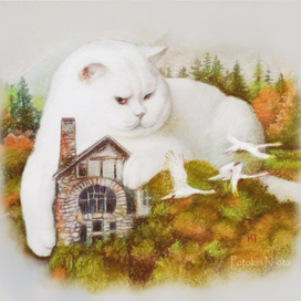 Белый день. Котоверсия