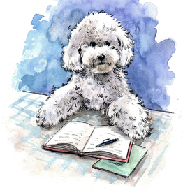 Бишон-поэт.