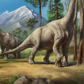 Брахиозавры. Палеонтология. R1